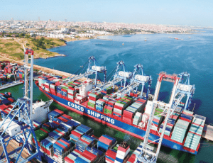 COSCO achieves strong financial performance in 2021